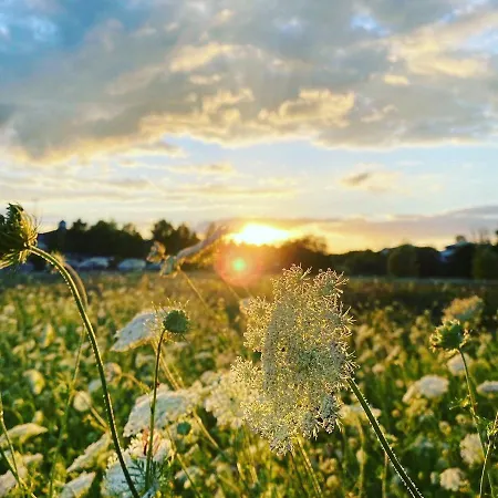 Prázdninový dům Casa Oasis Göhren-Lebbin