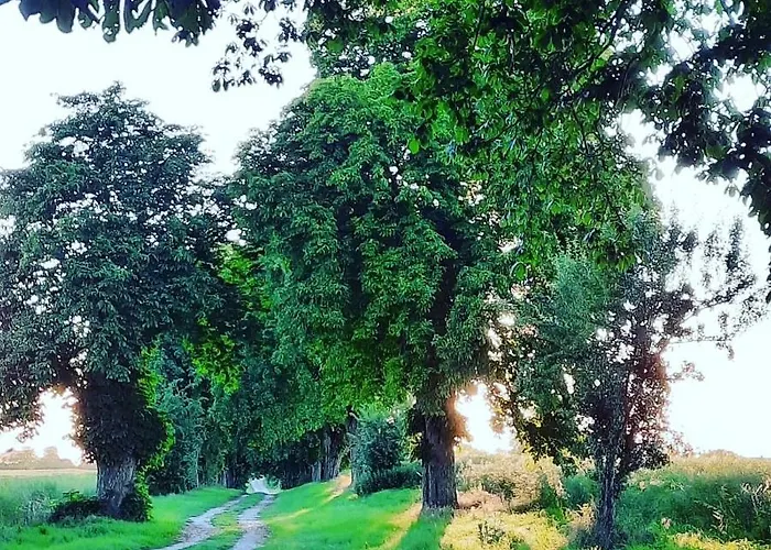 Casa Oasis Göhren-Lebbin